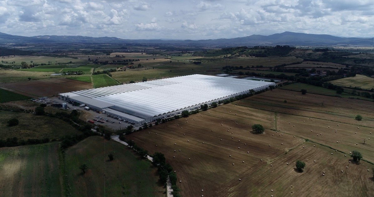 Sfera Agricola, quattro anni dopo